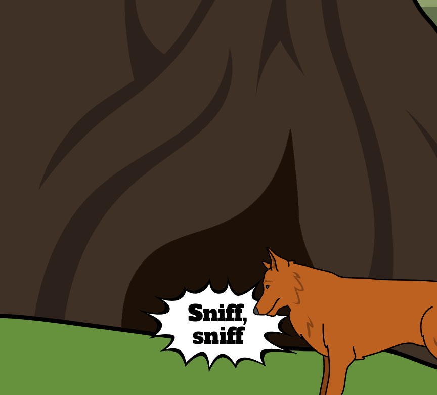 BD Amaroks - L'orage - Case 16