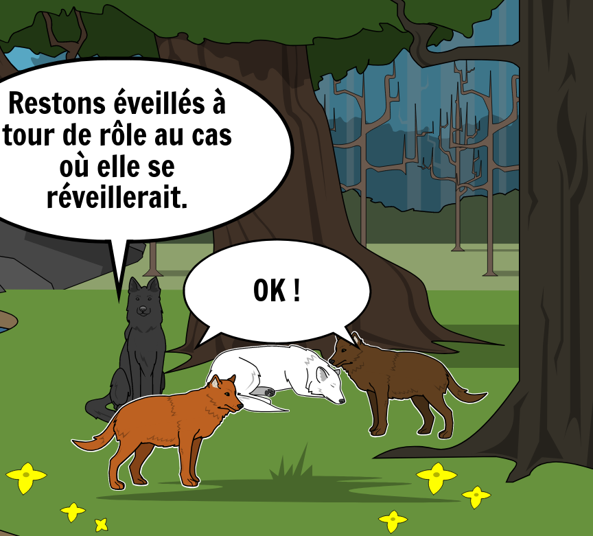 BD Amaroks - L'orage - Case 51