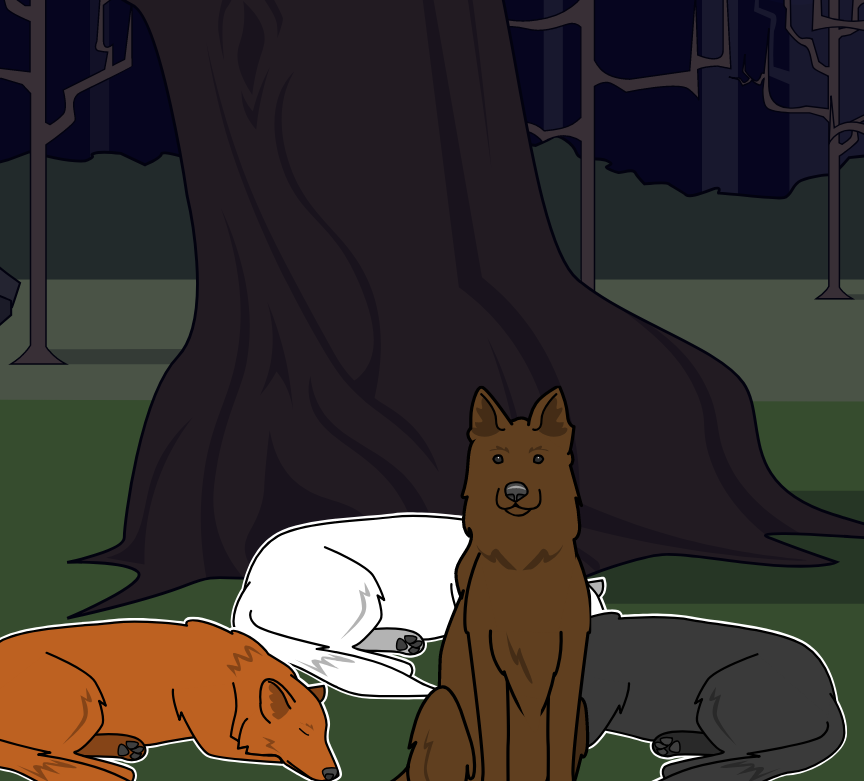 BD Amaroks - L'orage - Case 58