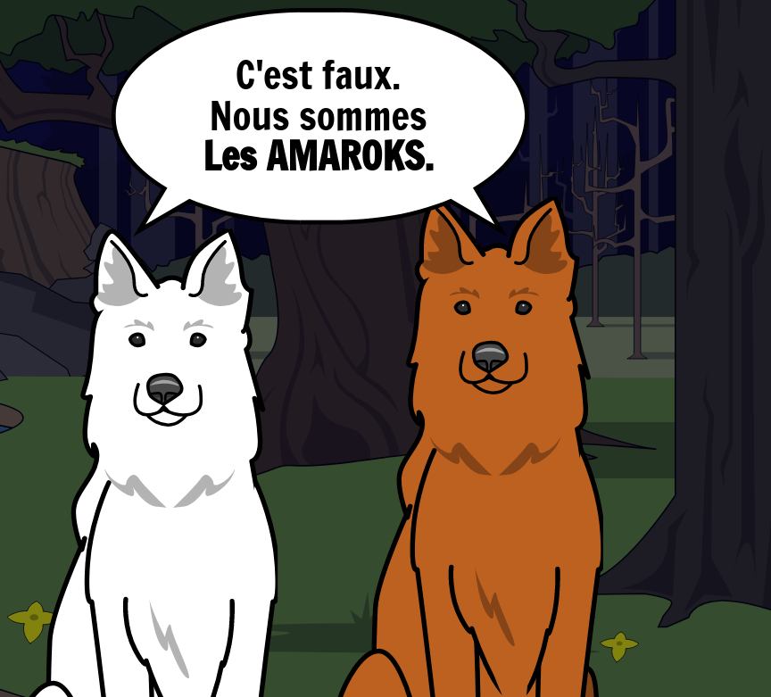 BD Amaroks - L'orage - Case 67